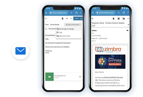 zimbra bags